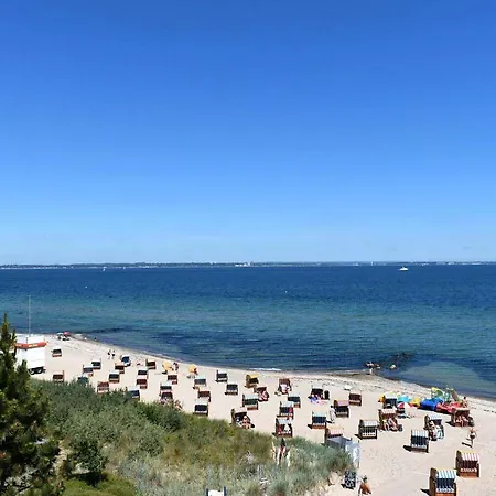 Seestern Nr 02 *